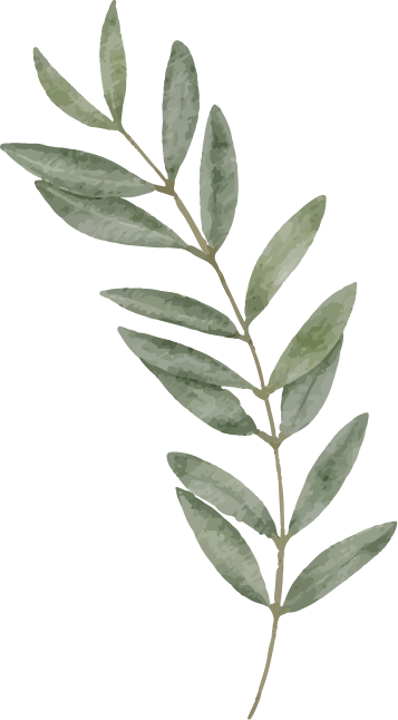 Olive Branch image