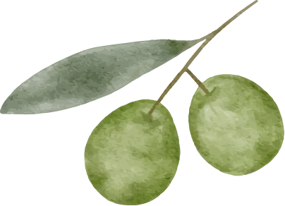 Olive Branch Image