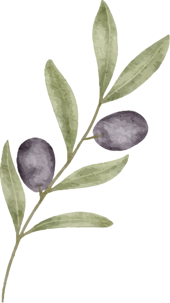 Olive Branch image