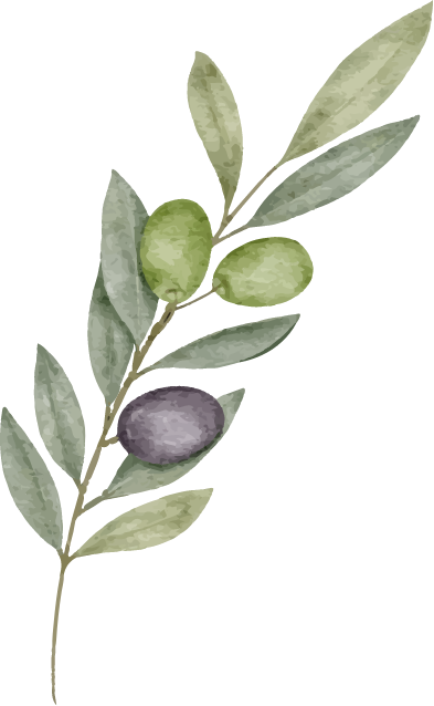 Olive Branch image