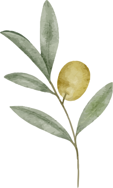 Olive Branch image